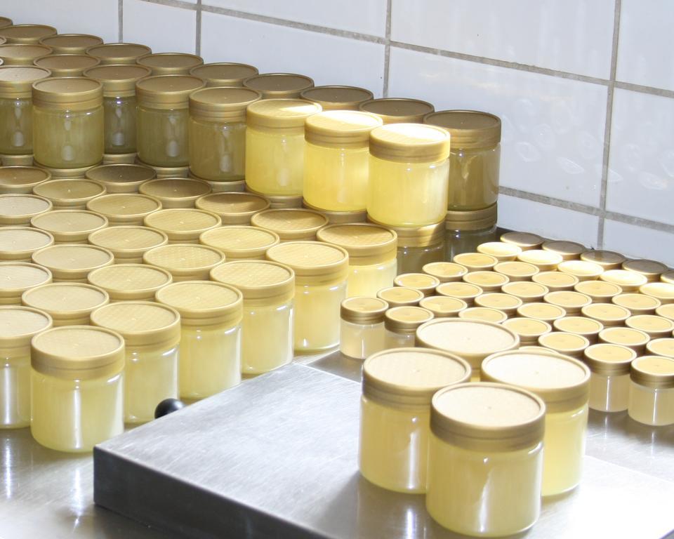 Landhaus Martens Bresewitz Екстер'єр фото